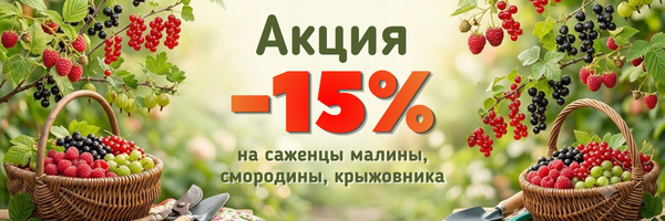 плодовые кусты предзаказ