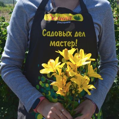 Лилия Еллоу Пауэр Лилия Еллоу Пауэр - Dolina-Sad.Ru