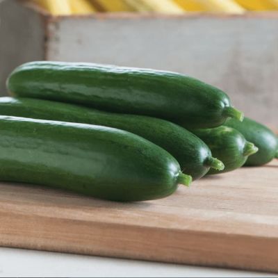 Огурец Хрустящий ломтик F1 (А) Огурец Хрустящий ломтик F1 (А) фото