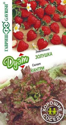 Салат Кантри + Земляника Золушка фото