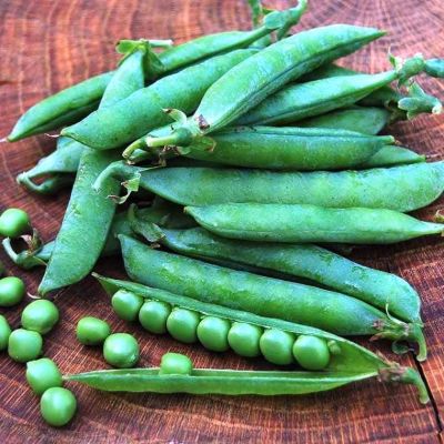 Горох Амброзия Горох Амброзия фото