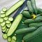 Огурец Хрустящий ломтик F1 (А) Огурец Хрустящий ломтик F1 (А) фото