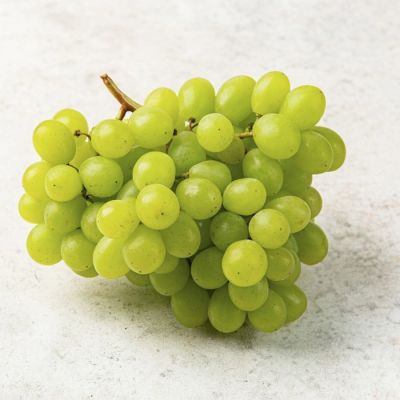 Виноград Прайм Сидлис Виноград Прайм Сидлис - Dolina-Sad.Ru