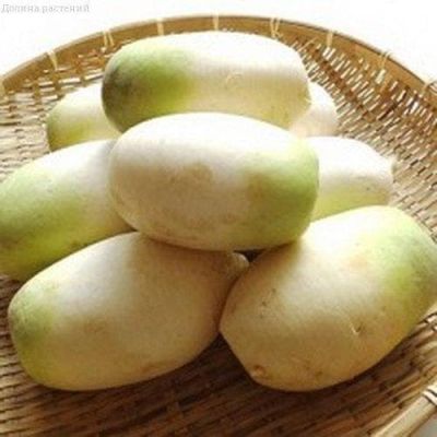 Редька Эсмеральда Редька Эсмеральда фото