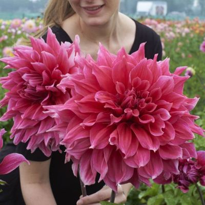 Георгина Эмори Пол (Гиганты) Георгина Эмори Пол (Гиганты) фото